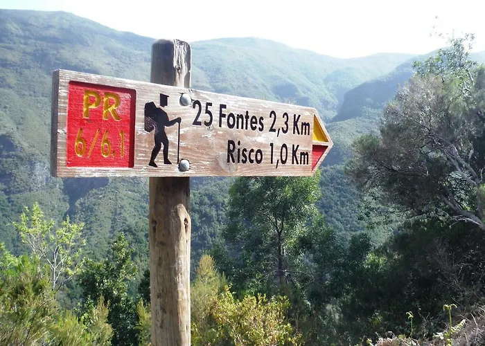 Studio's House 푼샬